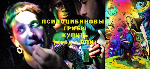 твердый Нягань