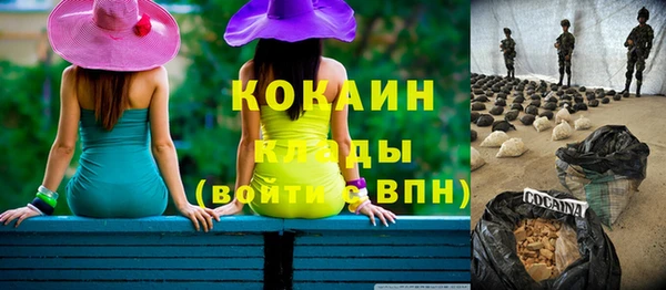 твердый Нягань