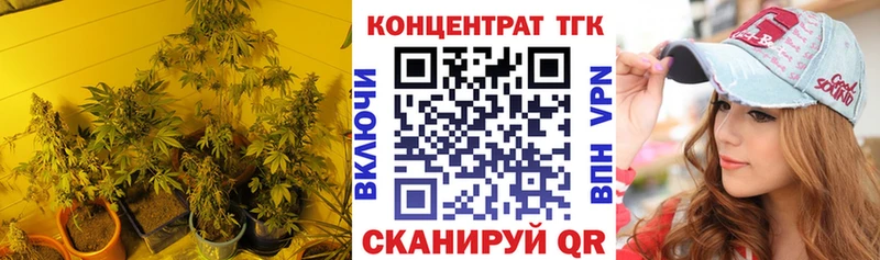 mega вход Черноголовка Дистиллят ТГК Wax