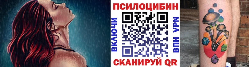 это какой сайт  Черноголовка  Галлюциногенные грибы Psilocybine cubensis 